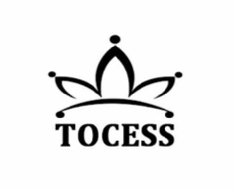 TOCESS Logo (USPTO, 13.09.2020)