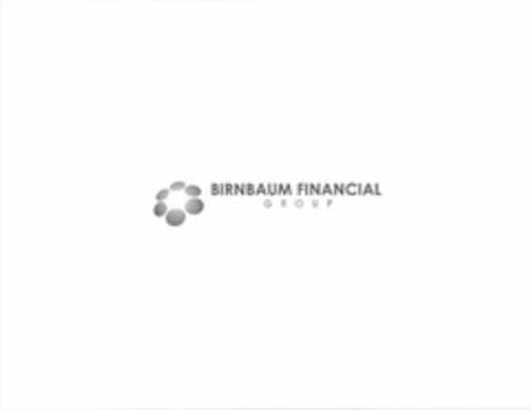 BIRNBAUM FINANCIAL GROUP Logo (USPTO, 15.09.2020)