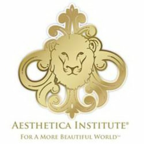 AESTHETICA INSTITUTE FOR A MORE BEAUTIFUL WORLD Logo (USPTO, 01.12.2010)