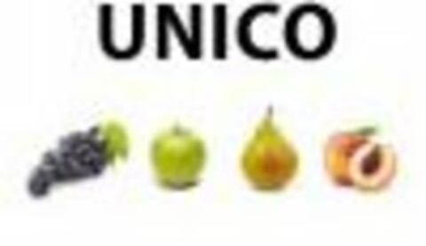 UNICO Logo (USPTO, 01/07/2013)