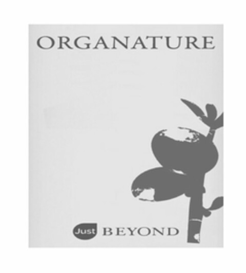 JUST BEYOND ORGANTURE Logo (USPTO, 04.09.2013)