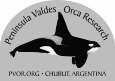 PENINSULA VALDES ORCA RESEARCH PVOR.ORG · CHUBUT, ARGENTINA Logo (USPTO, 12/05/2019)