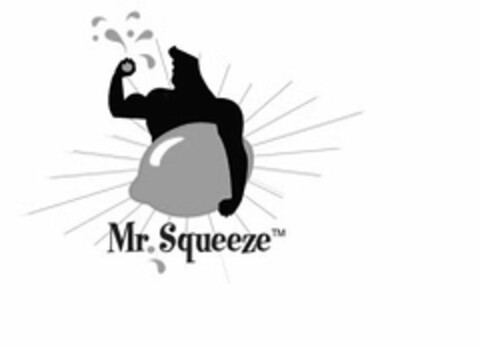 MR. SQUEEZE Logo (USPTO, 15.04.2015)