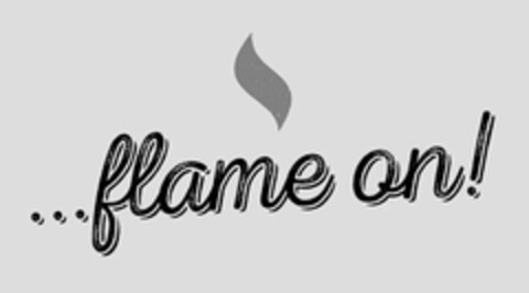 ...FLAME ON! Logo (USPTO, 30.06.2017)