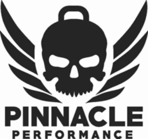 PINNACLE PERFORMANCE Logo (USPTO, 03.04.2019)