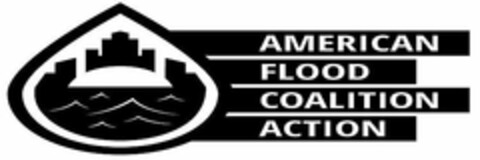 AMERICAN FLOOD COALITION ACTION Logo (USPTO, 29.05.2019)