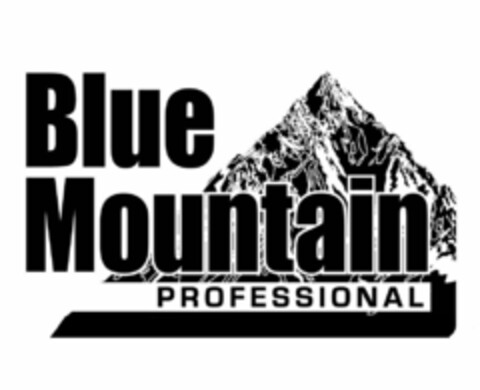 BLUE MOUNTAIN PROFESSIONAL Logo (USPTO, 24.11.2009)