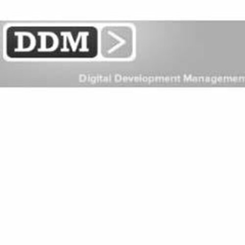 DDM DIGITAL DEVELOPMENT MANAGEMENT Logo (USPTO, 03/02/2012)