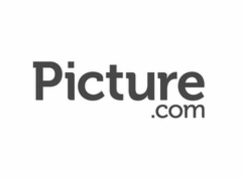 PICTURE.COM Logo (USPTO, 11.03.2013)