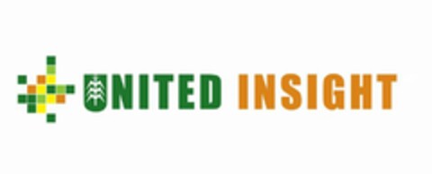 UNITED INSIGHT Logo (USPTO, 07.01.2019)