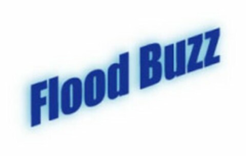 FLOOD BUZZ Logo (USPTO, 18.06.2010)