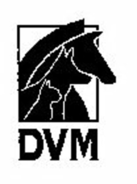 DVM Logo (USPTO, 22.11.2010)