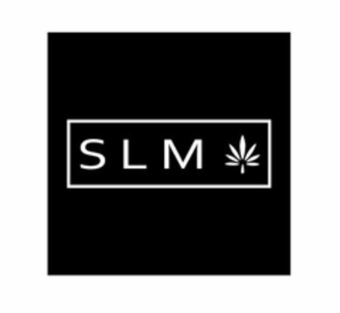 SLM Logo (USPTO, 25.04.2017)