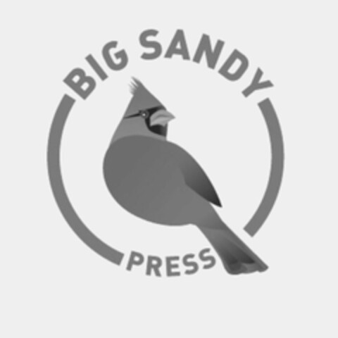 BIG SANDY PRESS Logo (USPTO, 03/26/2019)