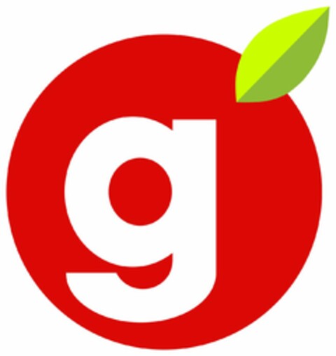 G Logo (USPTO, 02.07.2019)