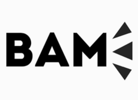 BAM Logo (USPTO, 01.11.2019)