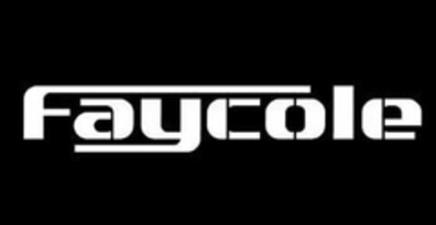 FAYCOLE Logo (USPTO, 30.03.2020)