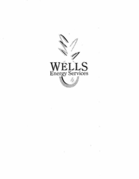 WELLS ENERGY SERVICES Logo (USPTO, 07/15/2009)