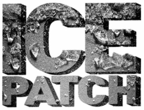 ICE PATCH Logo (USPTO, 19.01.2010)