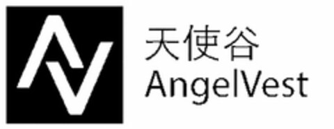 AV ANGELVEST Logo (USPTO, 06.11.2018)