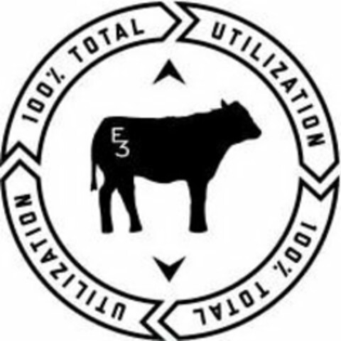 100% TOTAL UTILIZATION E3 Logo (USPTO, 03.01.2019)