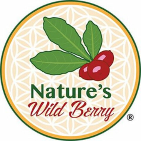 NATURE'S WILD BERRY Logo (USPTO, 01.03.2019)