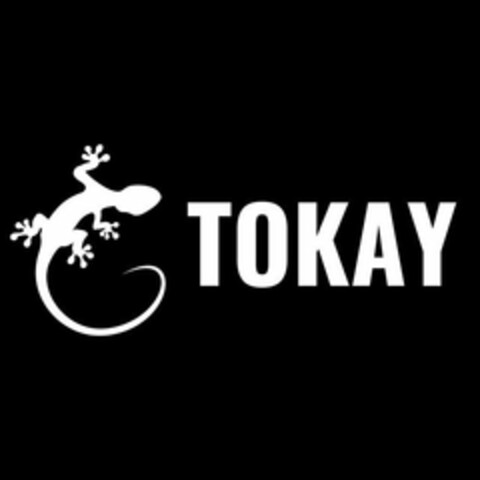 TOKAY Logo (USPTO, 04/30/2019)