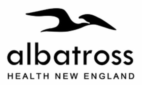 ALBATROSS HEALTH NEW ENGLAND Logo (USPTO, 06.05.2020)