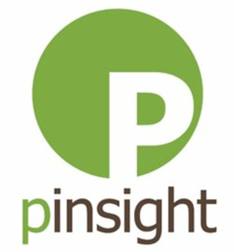 P PINSIGHT Logo (USPTO, 09.04.2010)