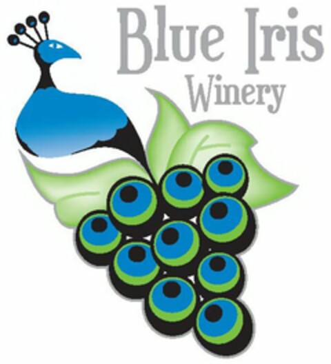 BLUE IRIS WINERY Logo (USPTO, 17.03.2015)