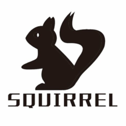 SQUIRREL Logo (USPTO, 21.02.2017)