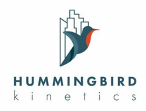 HUMMINGBIRD KINETICS Logo (USPTO, 09.10.2017)