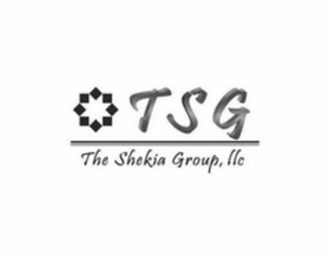 TSG THE SHEKIA GROUP, LLC Logo (USPTO, 17.10.2017)