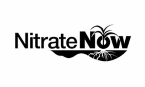 NITRATE NOW Logo (USPTO, 05.09.2018)