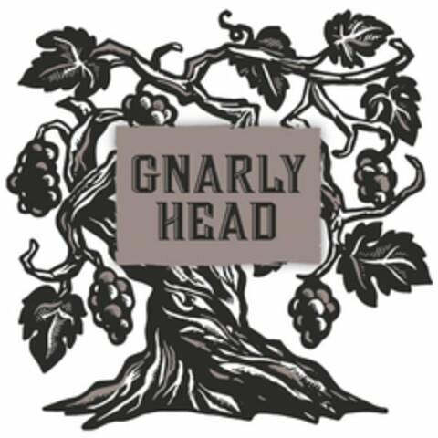 GNARLY HEAD Logo (USPTO, 18.06.2019)