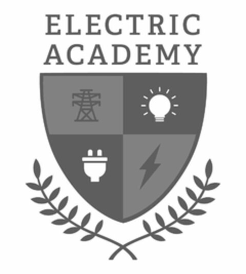 ELECTRIC ACADEMY Logo (USPTO, 18.05.2020)