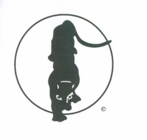  Logo (USPTO, 06/21/2010)