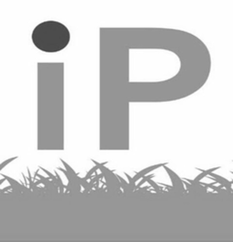 IP Logo (USPTO, 10.11.2010)