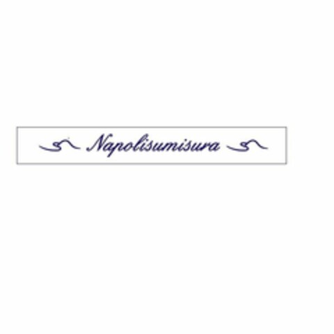 NAPOLISUMISURA Logo (USPTO, 06/19/2015)