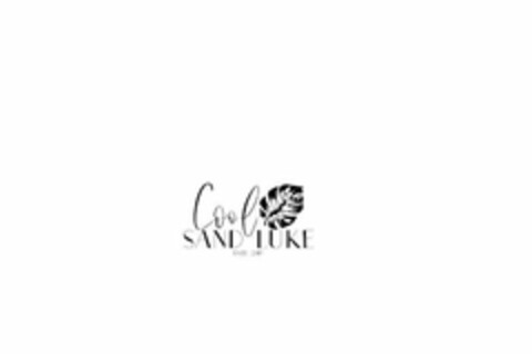 COOL SAND LUKE ESTD 2019 Logo (USPTO, 06.09.2019)