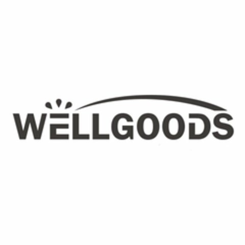 WELLGOODS Logo (USPTO, 01.05.2020)