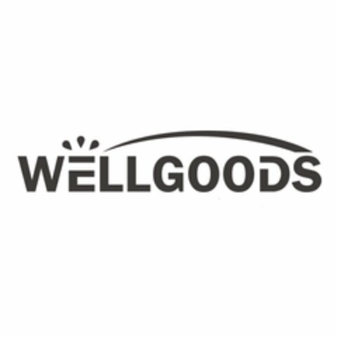 WELLGOODS Logo (USPTO, 05/01/2020)