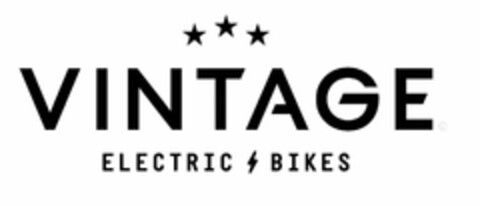 VINTAGE ELECTRIC BIKES Logo (USPTO, 12.08.2020)
