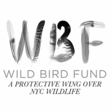 WBF WILD BIRD FUND A PROTECTIVE WING OVER NYC WILDLIFE Logo (USPTO, 18.09.2020)
