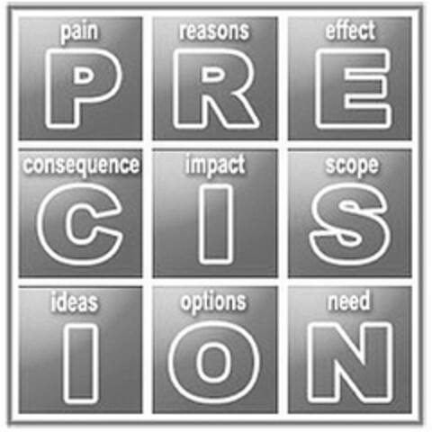 PAIN P REASON R EFFECT E CONSEQUENCE C IMPACT I SCOPE S IDEAS I OPTIONS O NEED N Logo (USPTO, 08.05.2009)