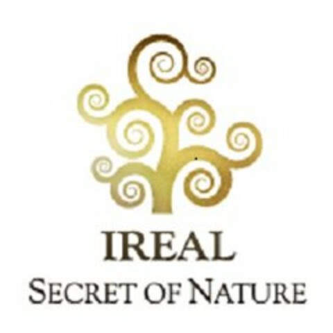 IREAL SECRET OF NATURE Logo (USPTO, 02.10.2013)