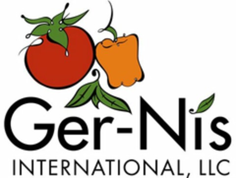 GER-NIS INTERNATIONAL LLC Logo (USPTO, 31.03.2009)