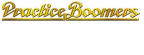 PRACTICE BOOMERS Logo (USPTO, 03.08.2010)