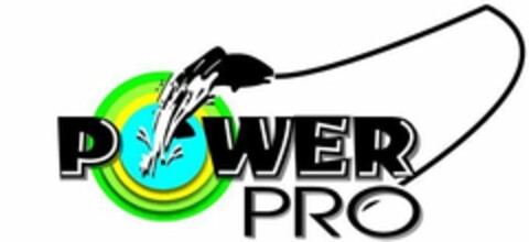 POWER PRO Logo (USPTO, 29.01.2011)