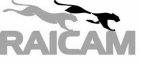 RAICAM Logo (USPTO, 02/28/2018)
